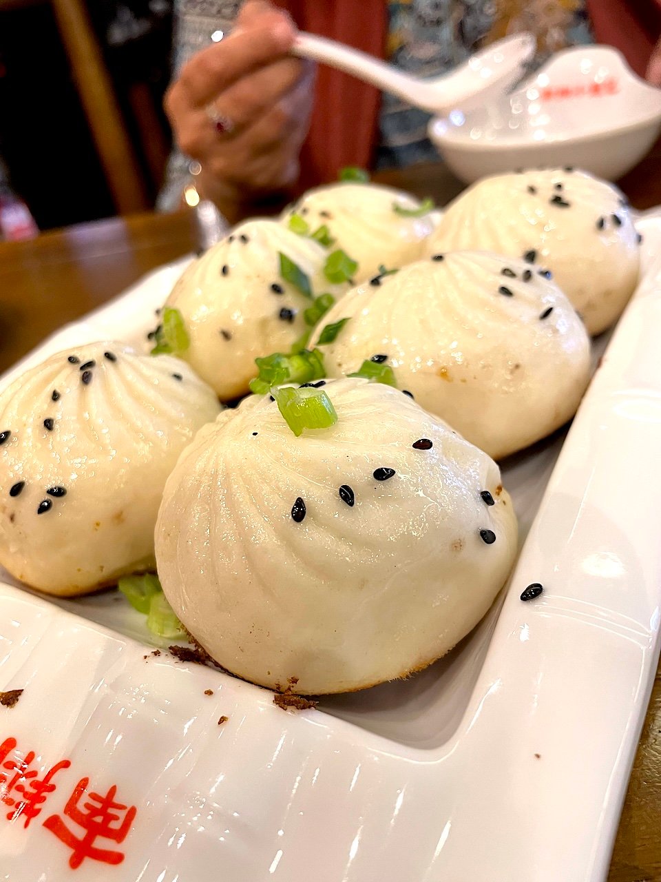 Pan fried pork buns in Flushing, New York