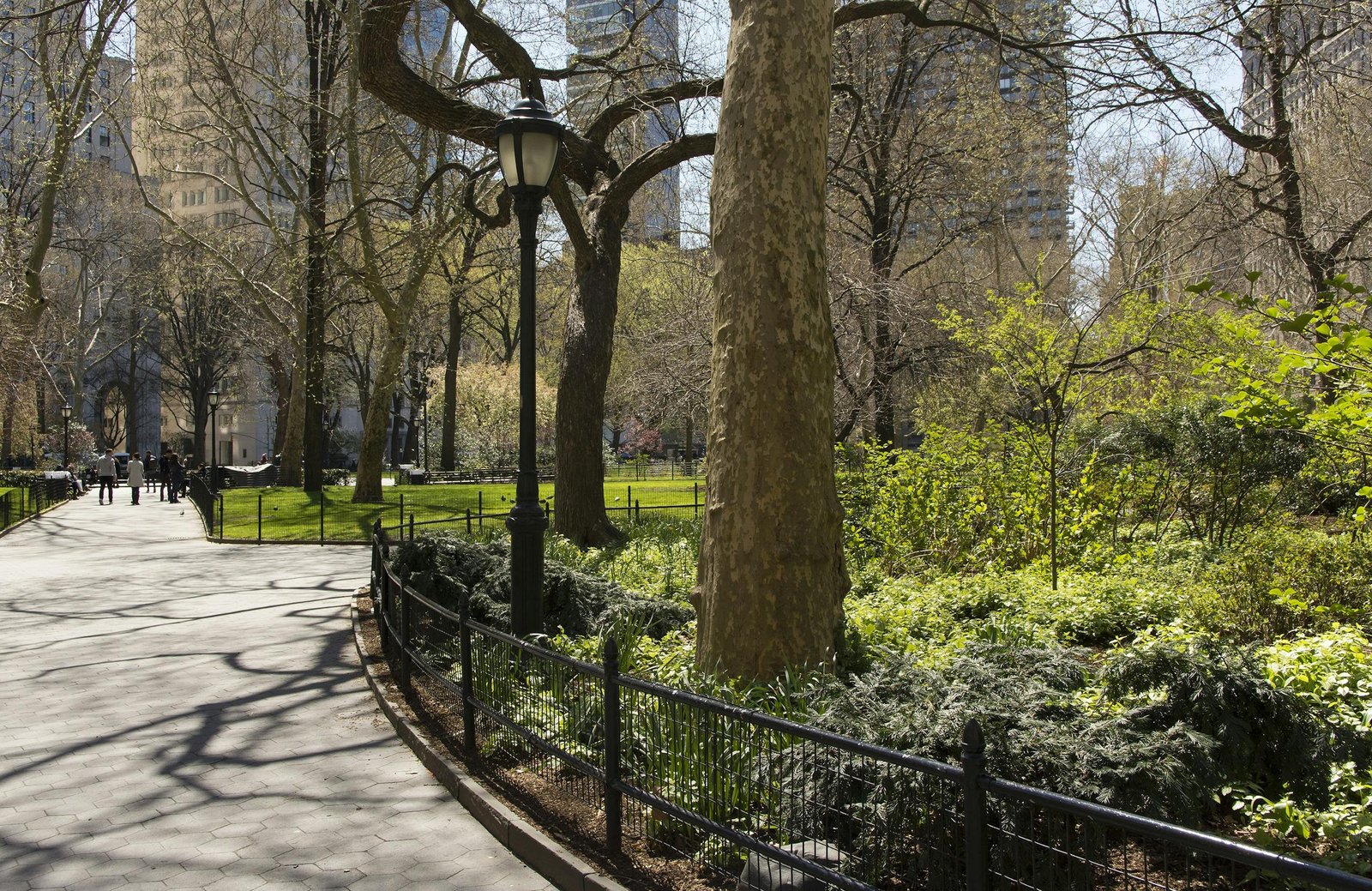 A sunny spring day in Central Park, New York City, showcasing lush greenery and skyscrapers.